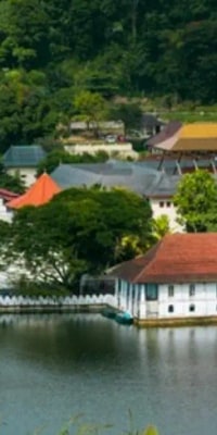Temple of The Sacred Tooth Relic Entrance Ticket